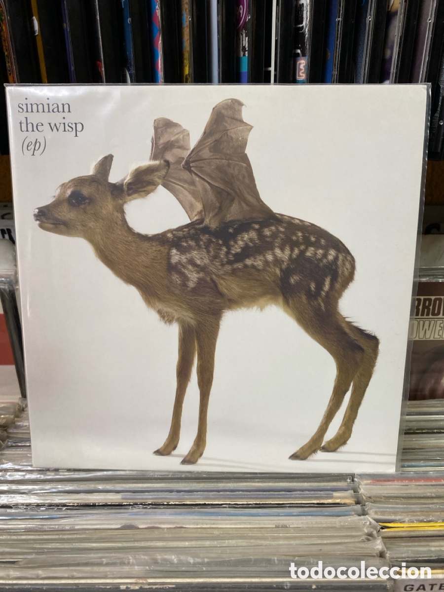Discos de vinilo: Simian the Wisp (ep) - Foto 1
