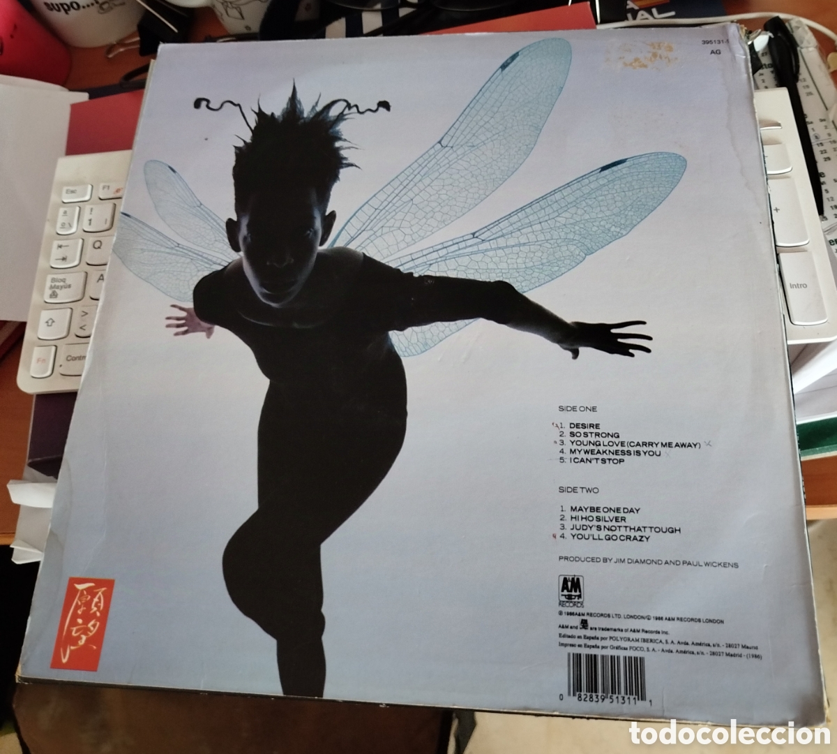 Discos de vinilo: Jim Diamond - desire for freedom - Foto 2