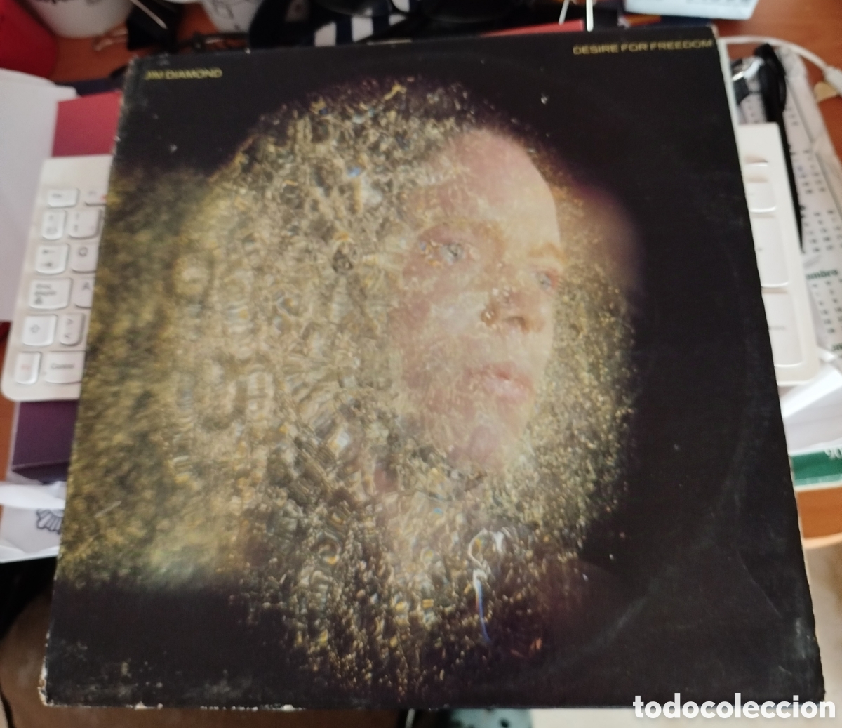 Discos de vinilo: Jim Diamond - desire for freedom - Foto 1