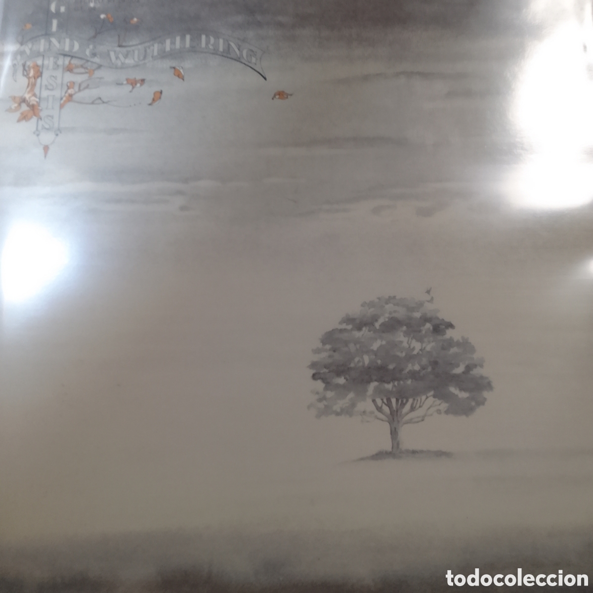 Discos de vinilo: GENESIS WIND AND WUTHERING - Foto 1