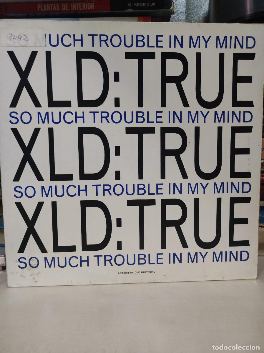 Discos de vinilo: XLD True &ndash; So Much Trouble In My Mind - Foto 1