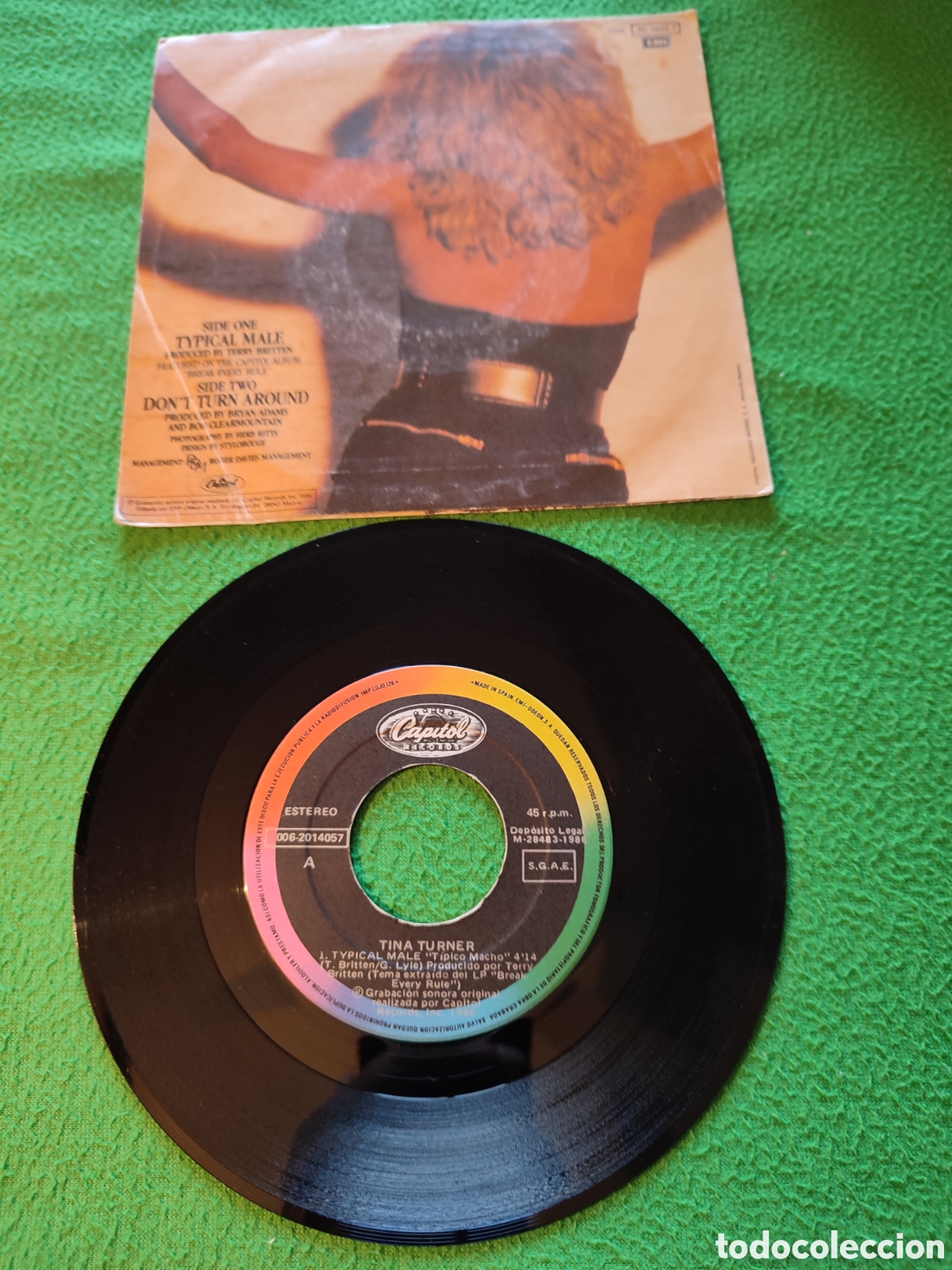 Discos de vinilo: Tina Turner - Typical male - Foto 2