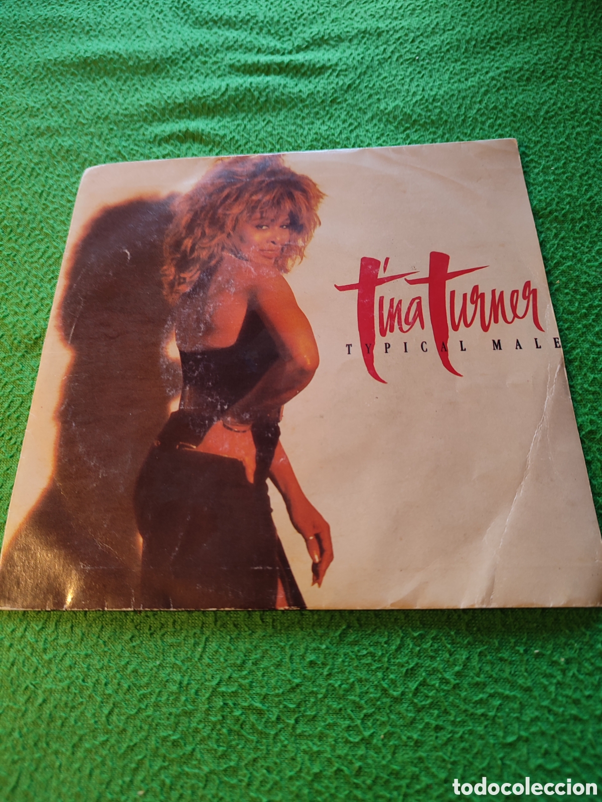 Discos de vinilo: Tina Turner - Typical male - Foto 1