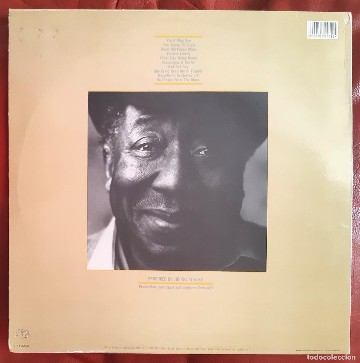 Discos de vinilo: MUDDY WATERS - KING BEE LP - Foto 2