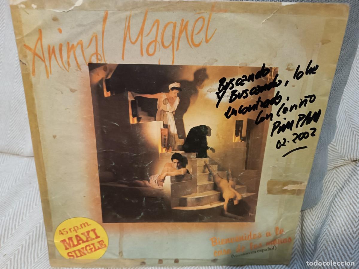 Discos de vinilo: Animal Magnet............. - Foto 1
