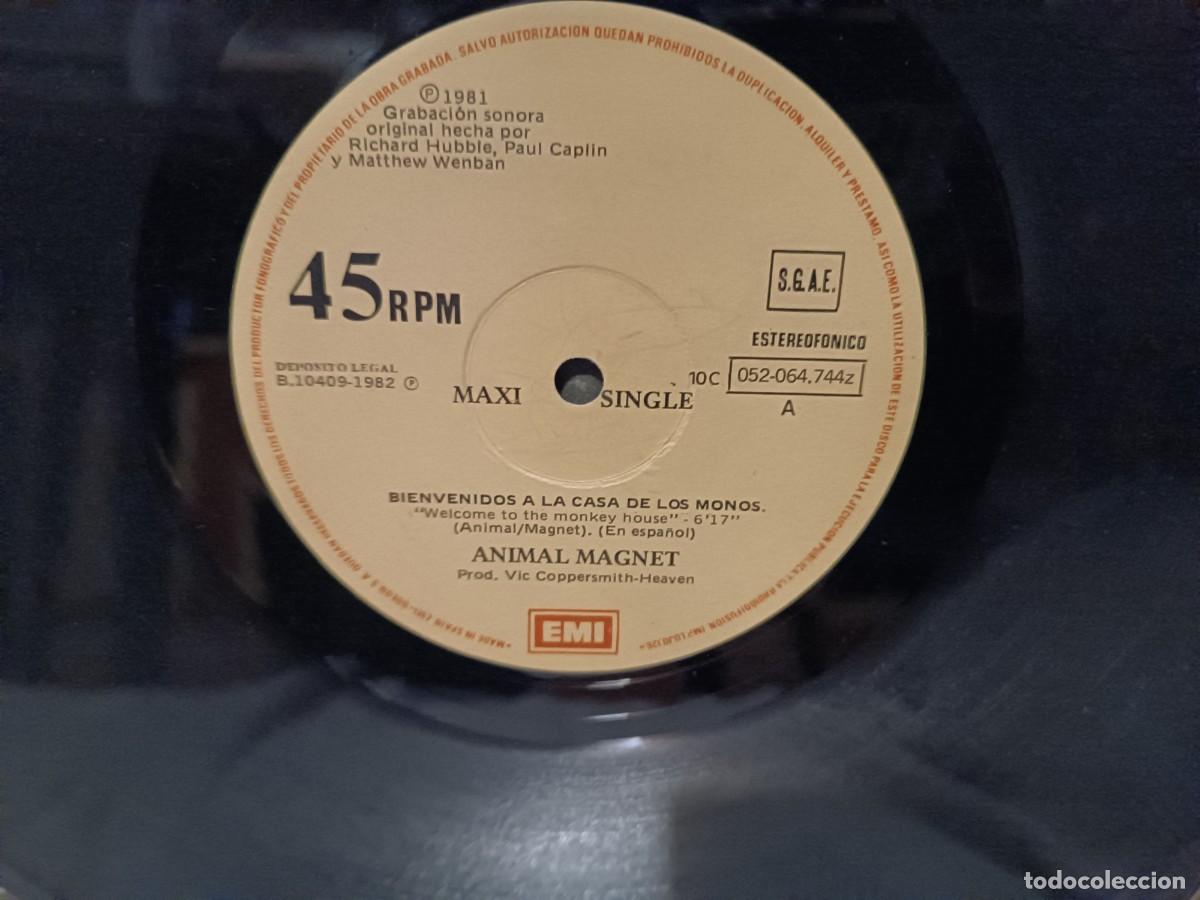 Discos de vinilo: Animal Magnet............. - Foto 3
