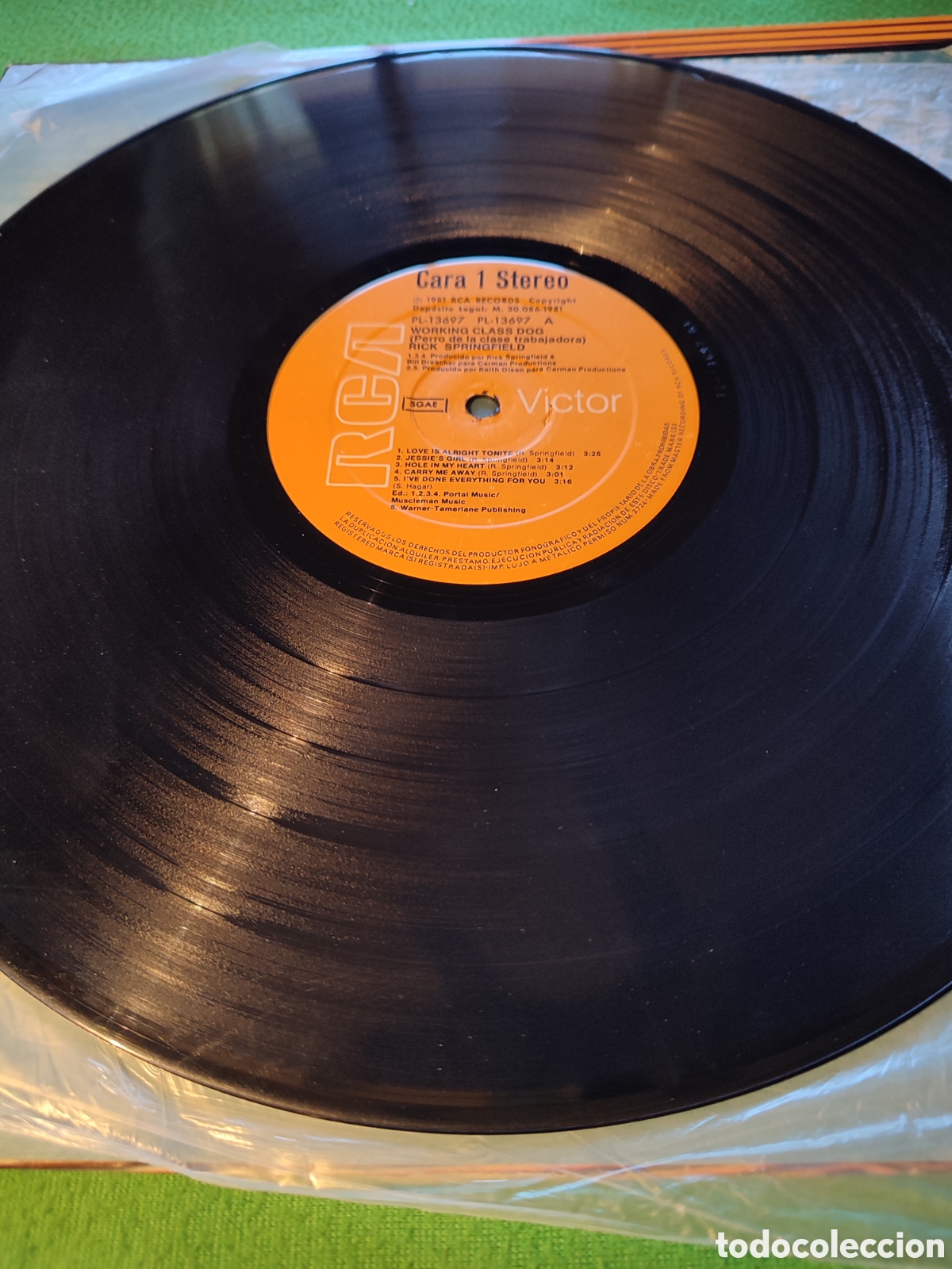 Discos de vinilo: Rick Springfield - Working class dog - Foto 3