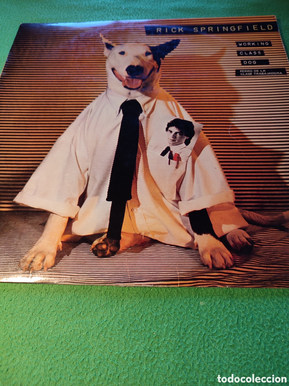 Discos de vinilo: Rick Springfield - Working class dog - Foto 1