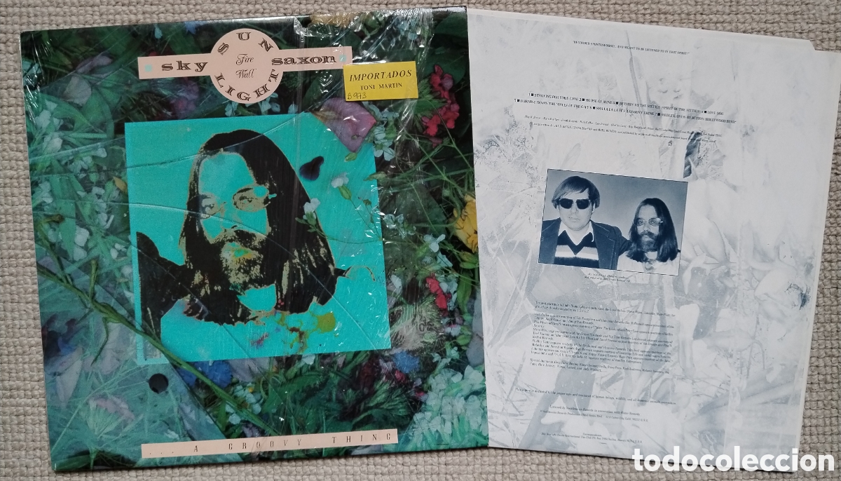 Discos de vinilo: A Groovy Thing - Sky Saxon - Foto 1