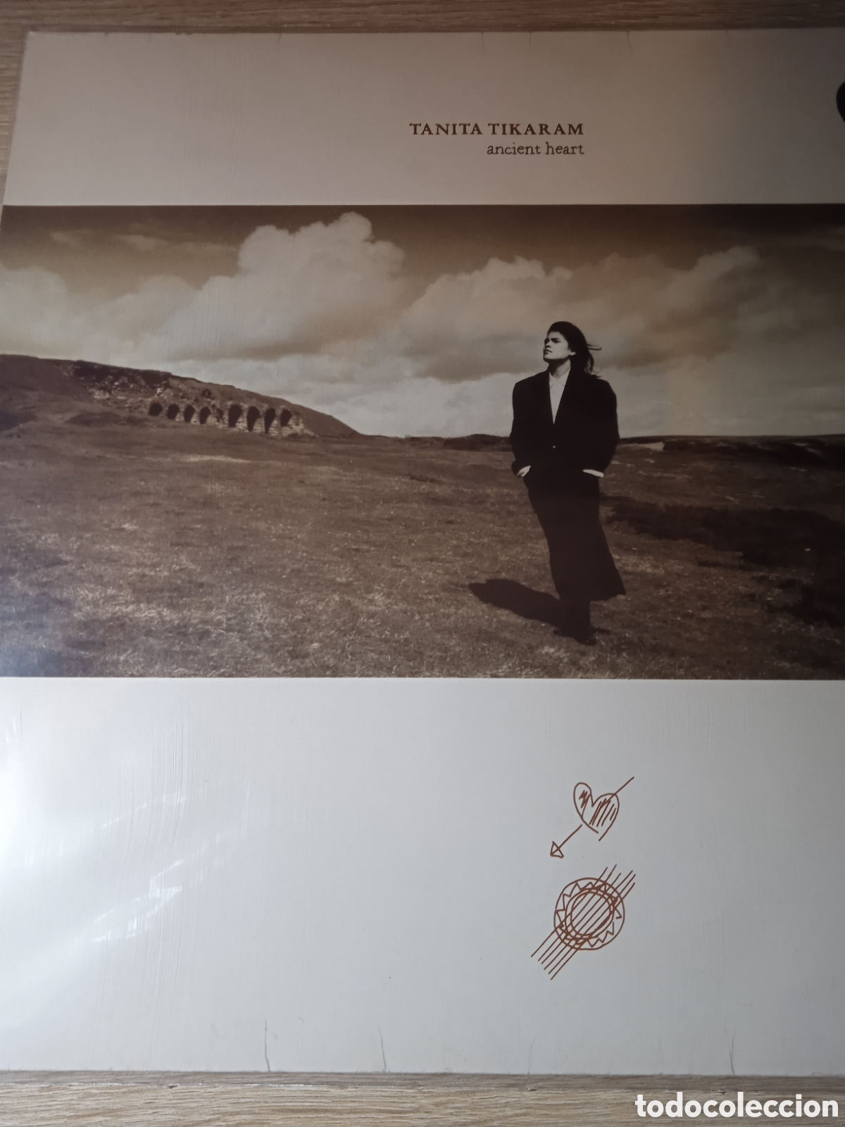 Discos de vinilo: Tanita tikaram - ancient heart. - Foto 1