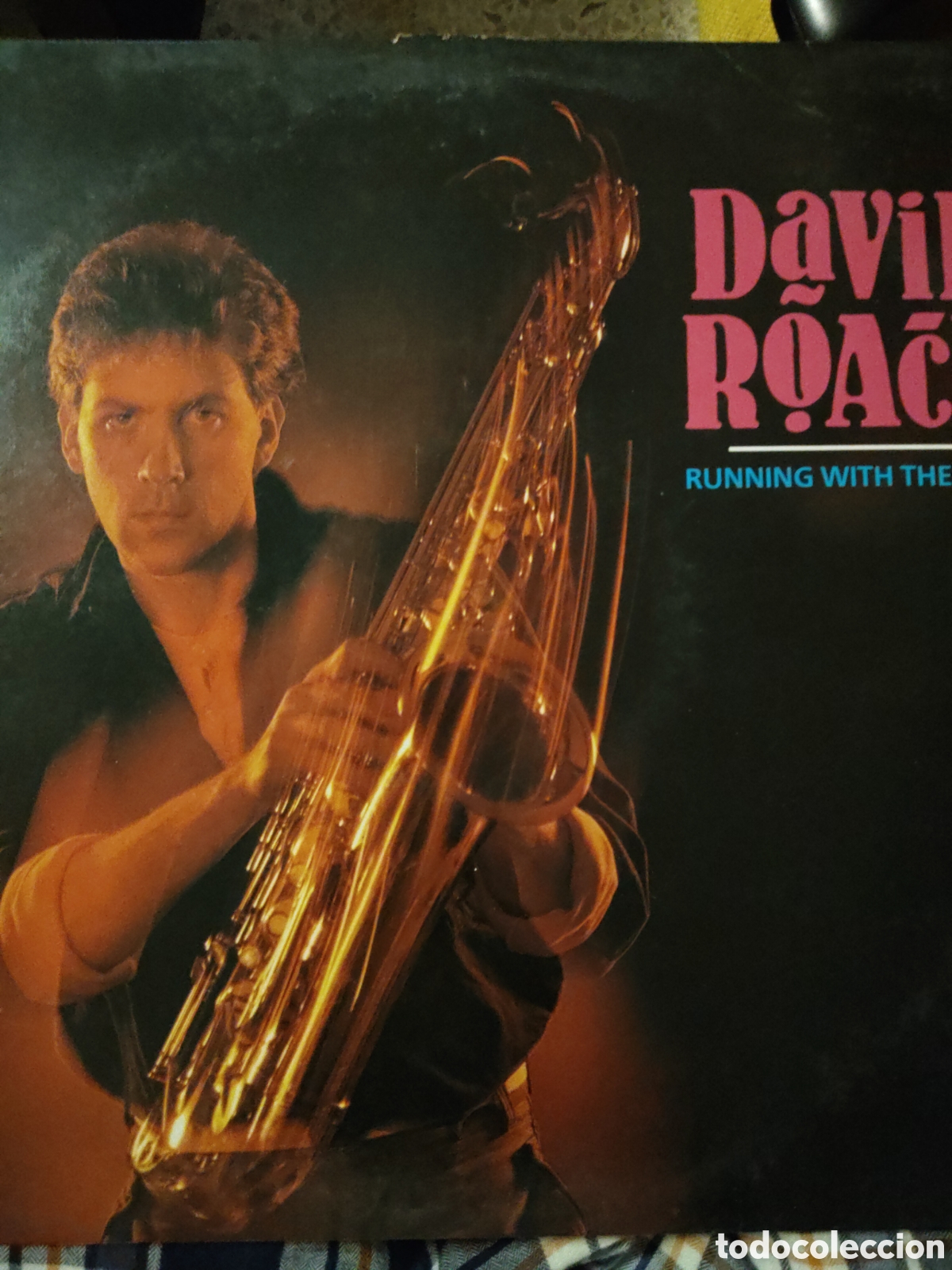 Discos de vinilo: David Roach&nbsp;&ndash;&nbsp;Running With The River Vinilo LP 1984 - Foto 1