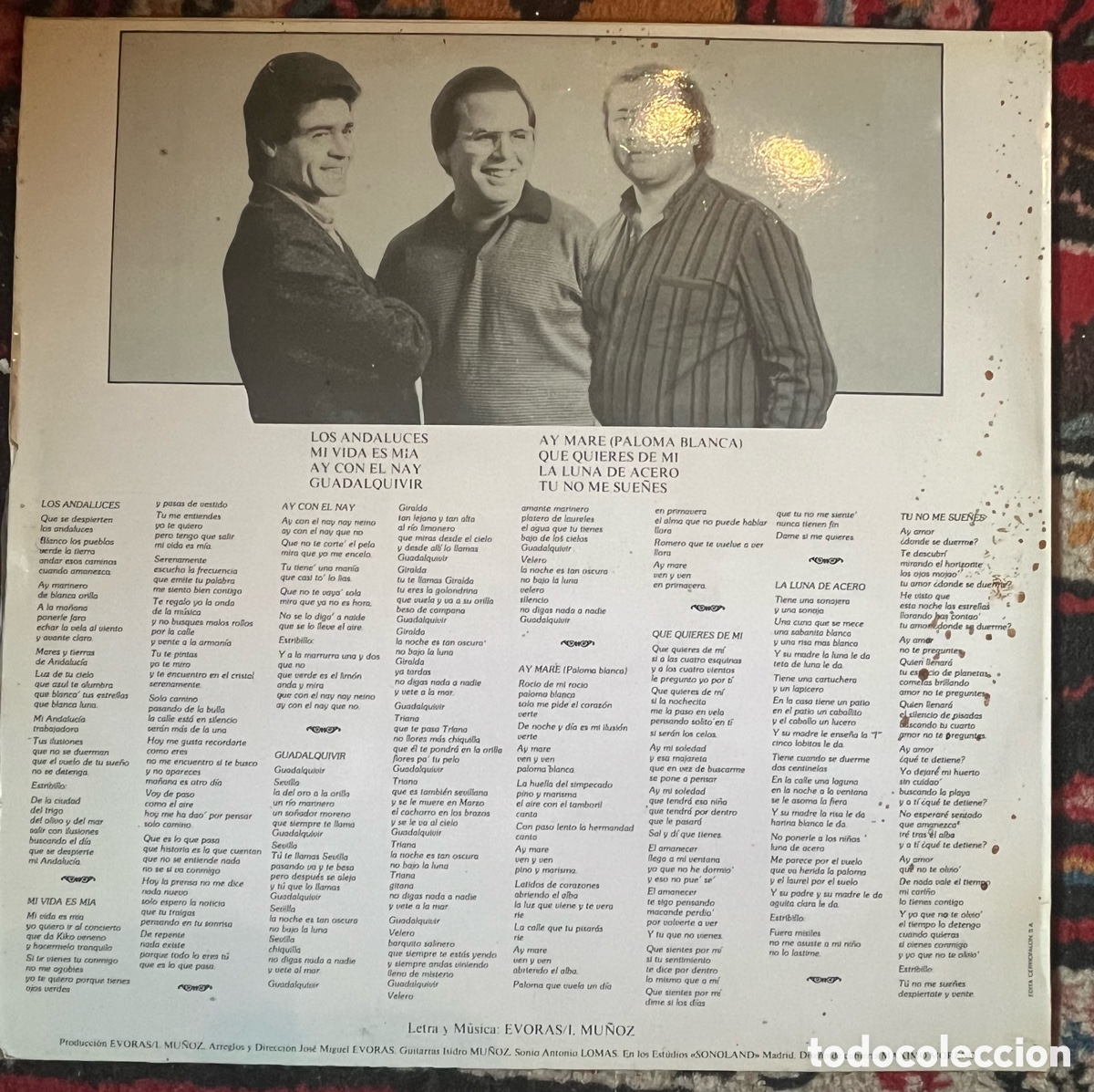 Discos de vinilo: SALMARINA &ldquo; BORDAO&rdquo; VINILO LP - Foto 2
