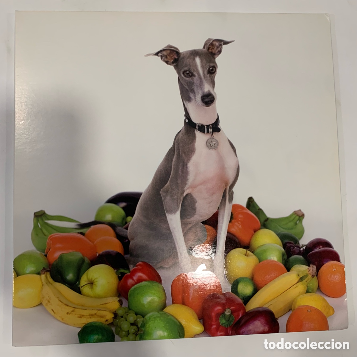 Discos de vinilo: LP Shellac &ndash; Excellent Italian Greyhound - Foto 3