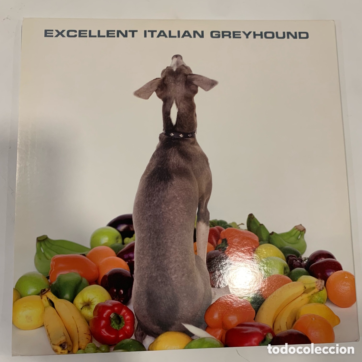 Discos de vinilo: LP Shellac &ndash; Excellent Italian Greyhound - Foto 5