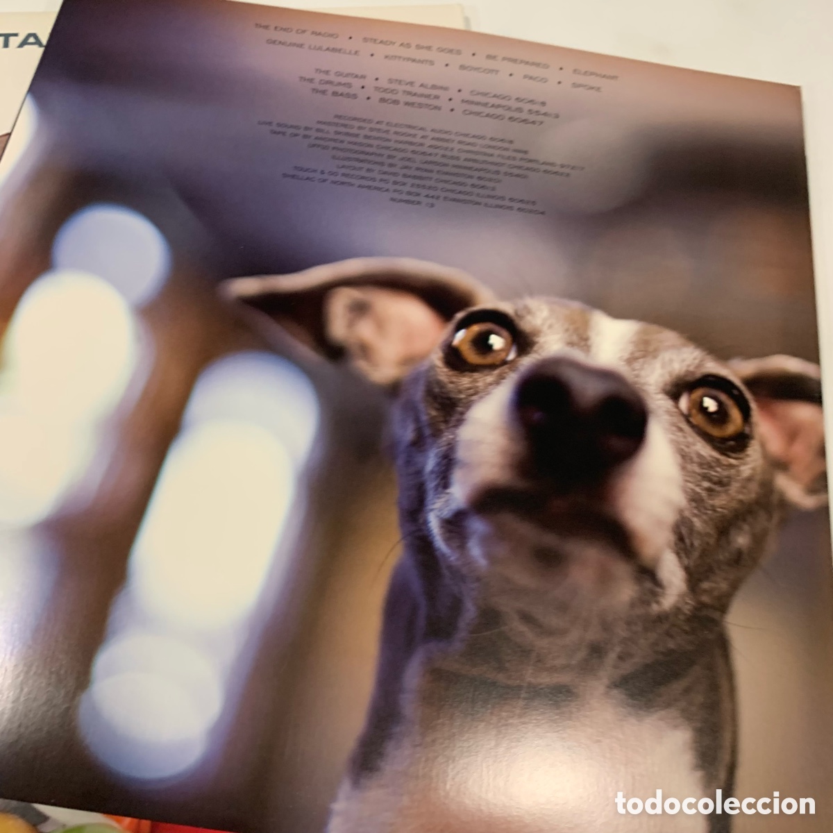Discos de vinilo: LP Shellac &ndash; Excellent Italian Greyhound - Foto 6