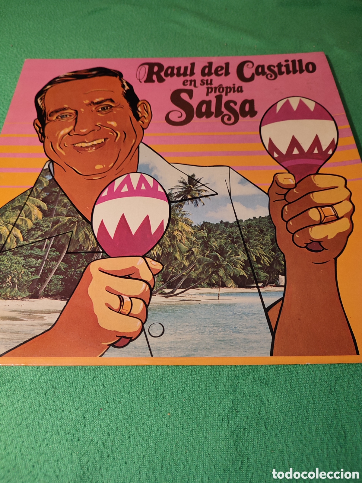 Discos de vinilo: Ra&uacute;l del Castillo - En su propia salsa - Foto 1
