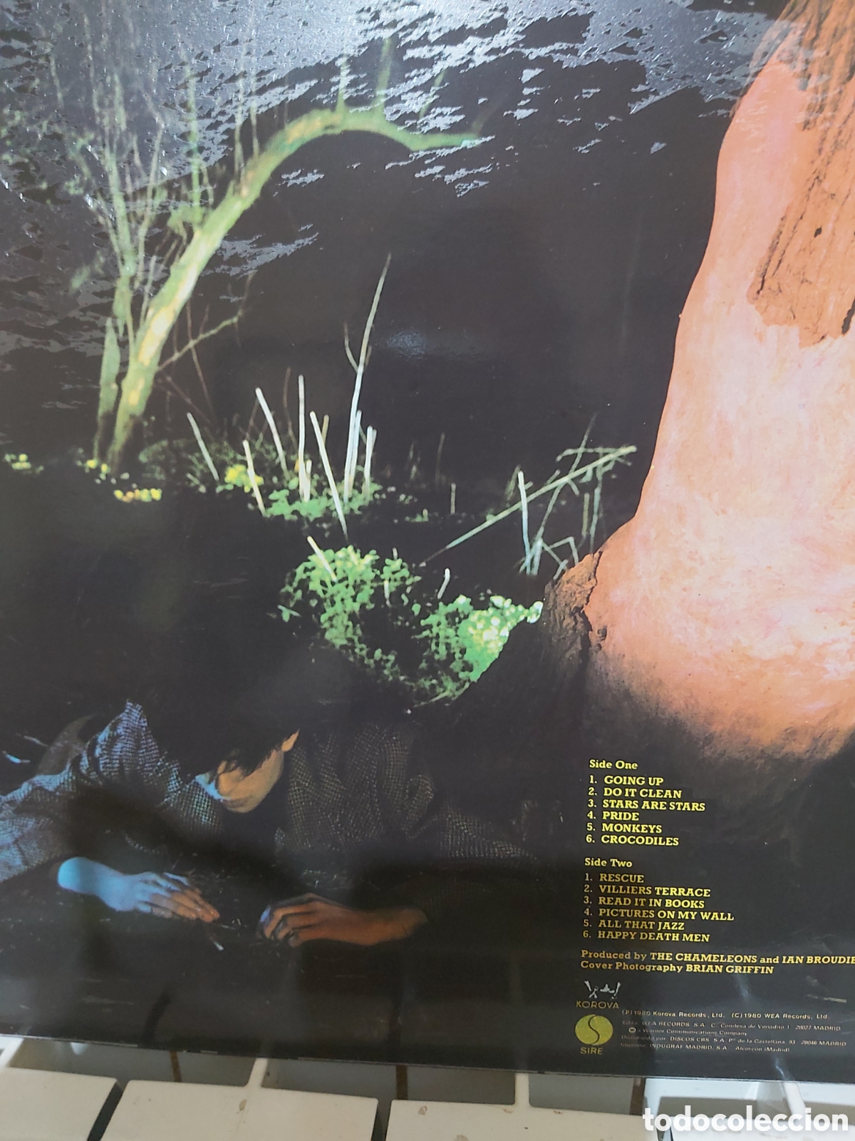 Discos de vinilo: ECHO AND THE BUNNYMEN CROCODILES - Foto 2