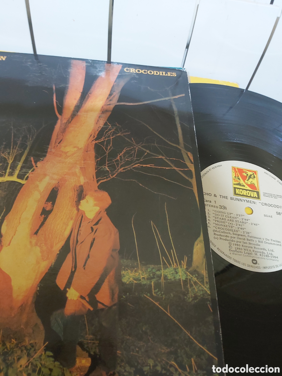Discos de vinilo: ECHO AND THE BUNNYMEN CROCODILES - Foto 3