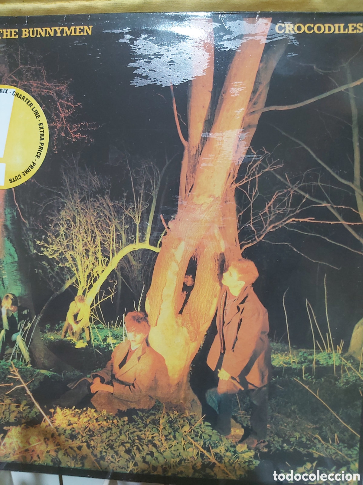 Discos de vinilo: ECHO AND THE BUNNYMEN CROCODILES - Foto 1