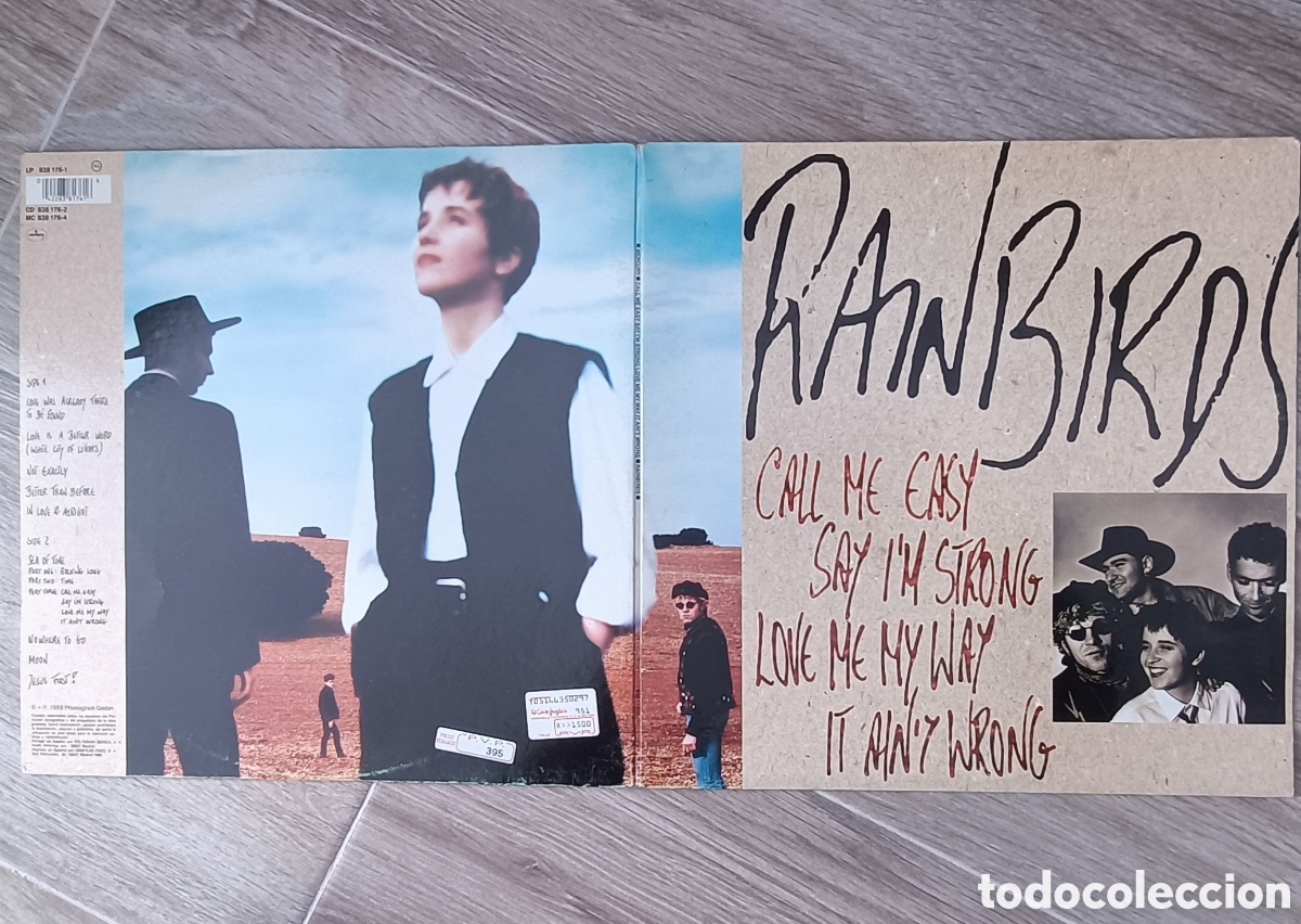 Discos de vinilo: Rainbirds - Call me easy, say im strong, ... - Foto 3