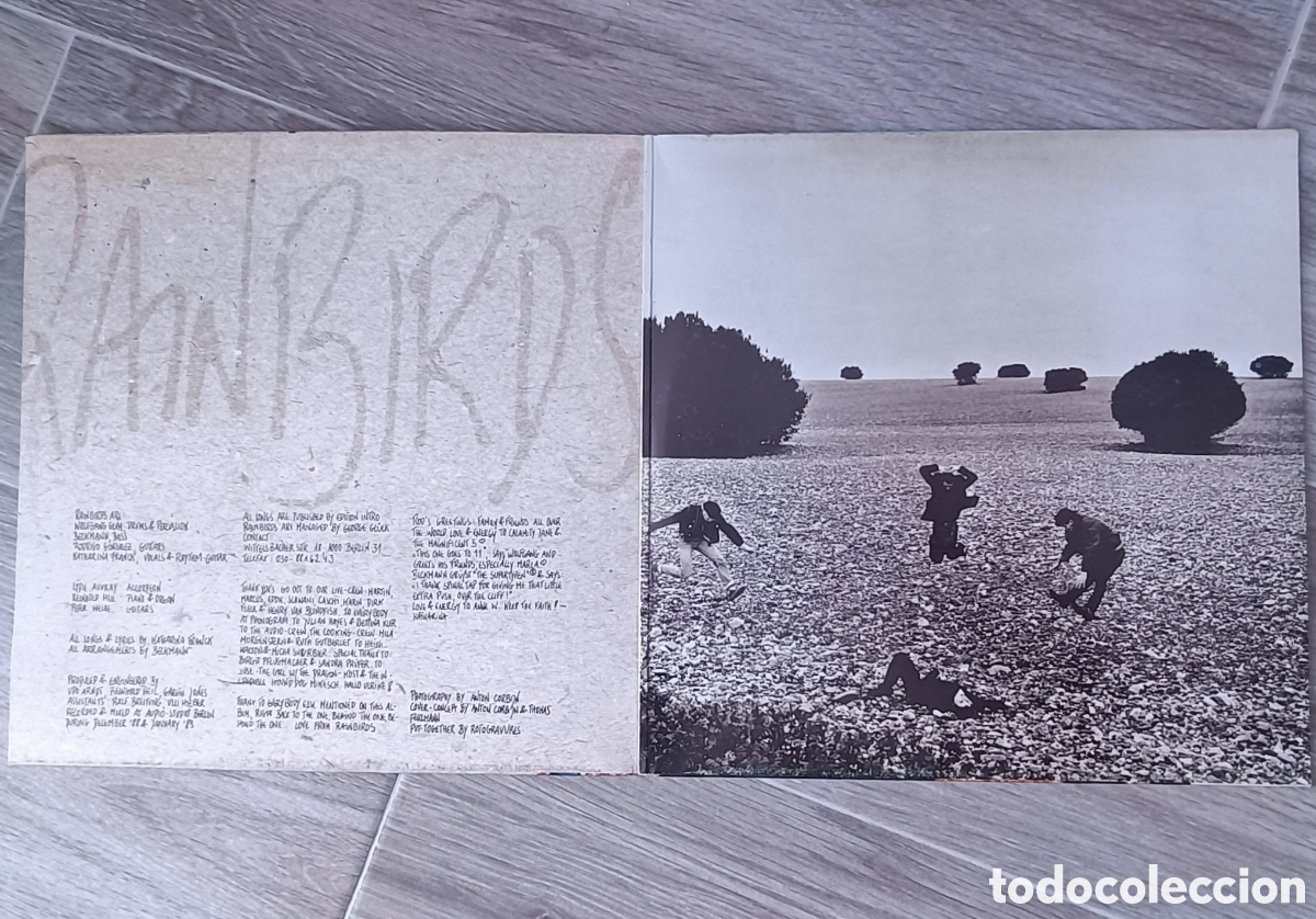Discos de vinilo: Rainbirds - Call me easy, say im strong, ... - Foto 4
