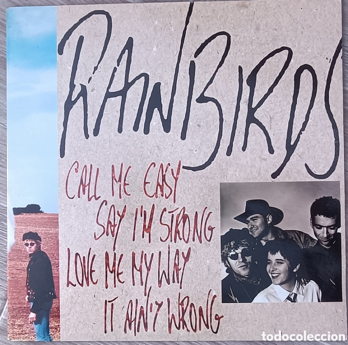 Discos de vinilo: Rainbirds - Call me easy, say im strong, ... - Foto 1