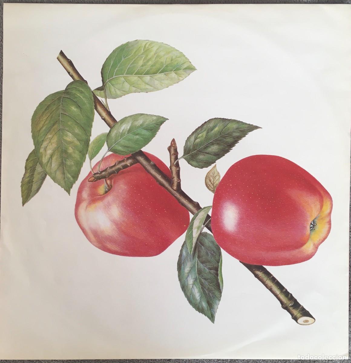 Discos de vinilo: Rolling Stones &ndash; Steel Wheels - Foto 3