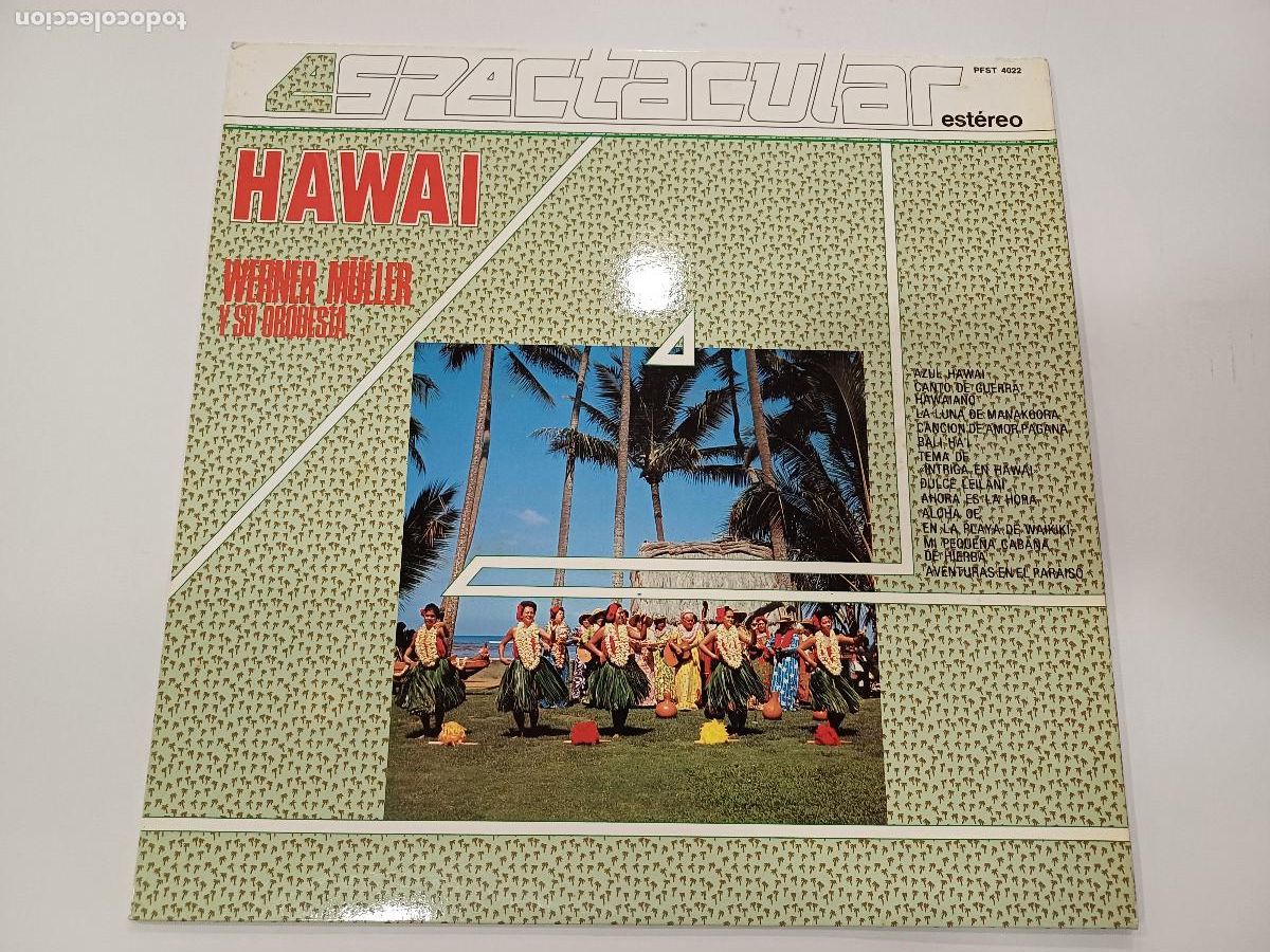 Discos de vinilo: HAWAI/WERNER MULLER/VINILO. - Foto 1