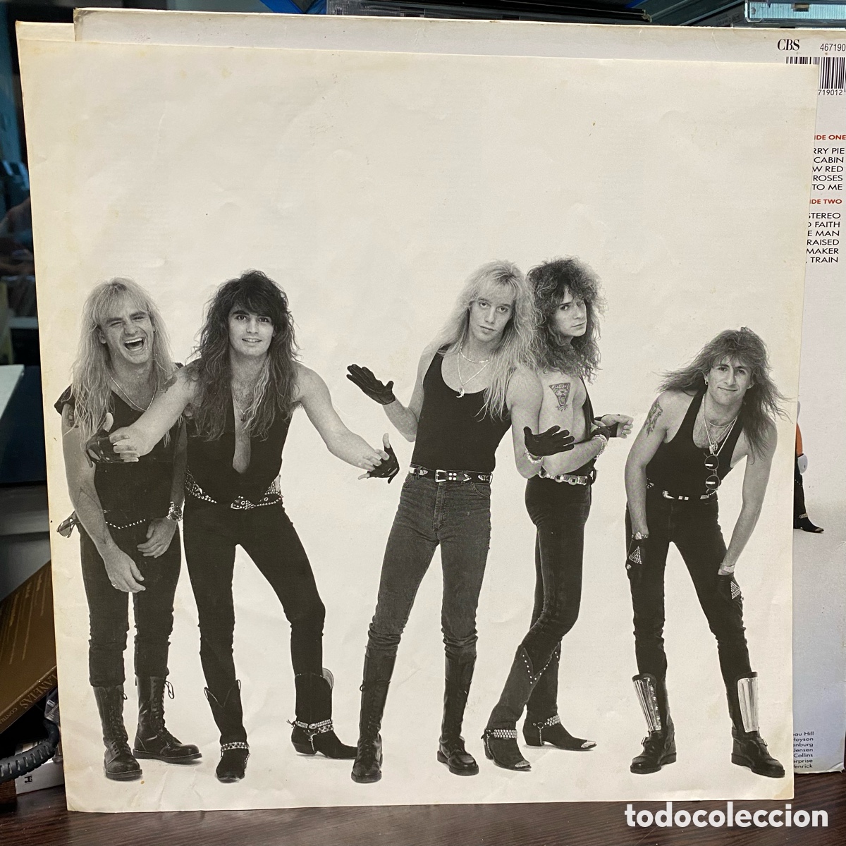 Discos de vinilo: Warrant - Cherry Pie (LP) - Foto 3