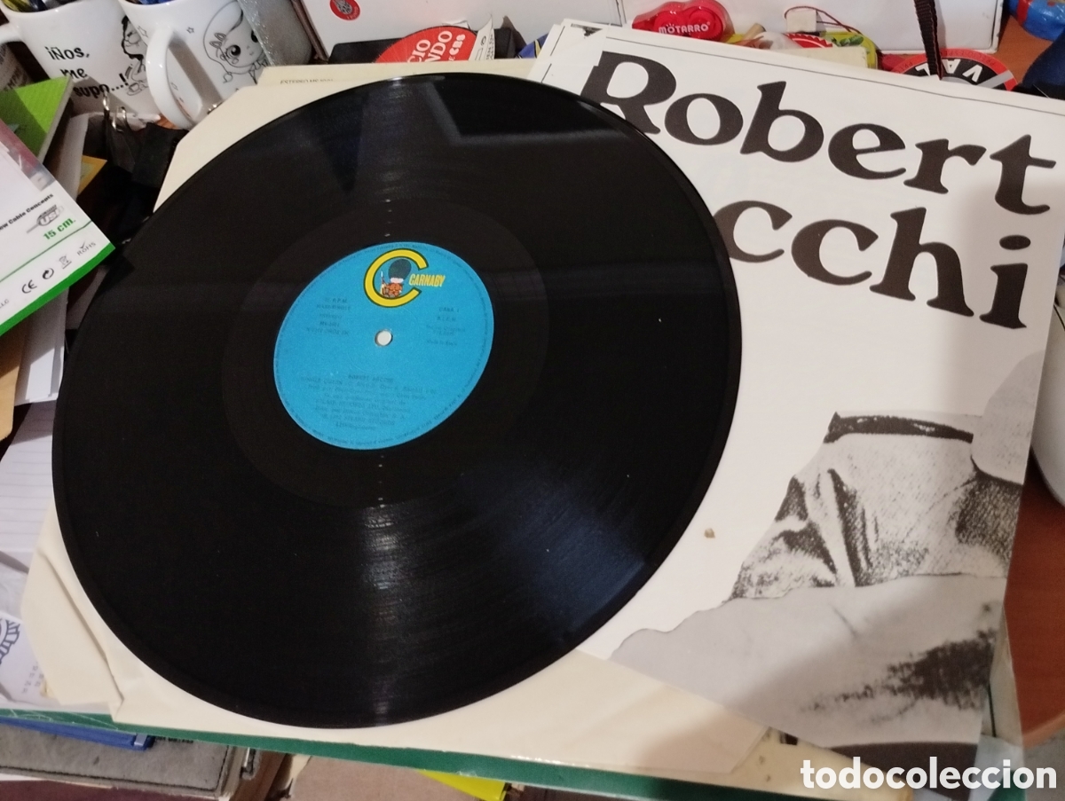 Discos de vinilo: Robert Sacchi &ndash; Jungle Queen. CONTIENE POSTER - Foto 2