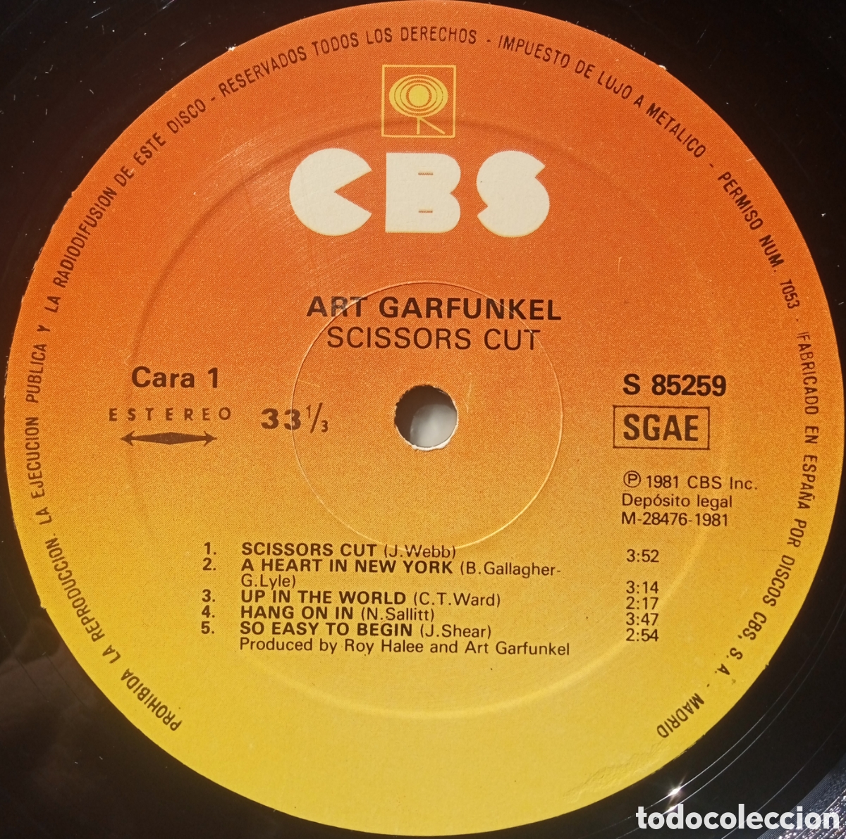 Discos de vinilo: Disco de vinilo Art Garfunkel - Foto 3