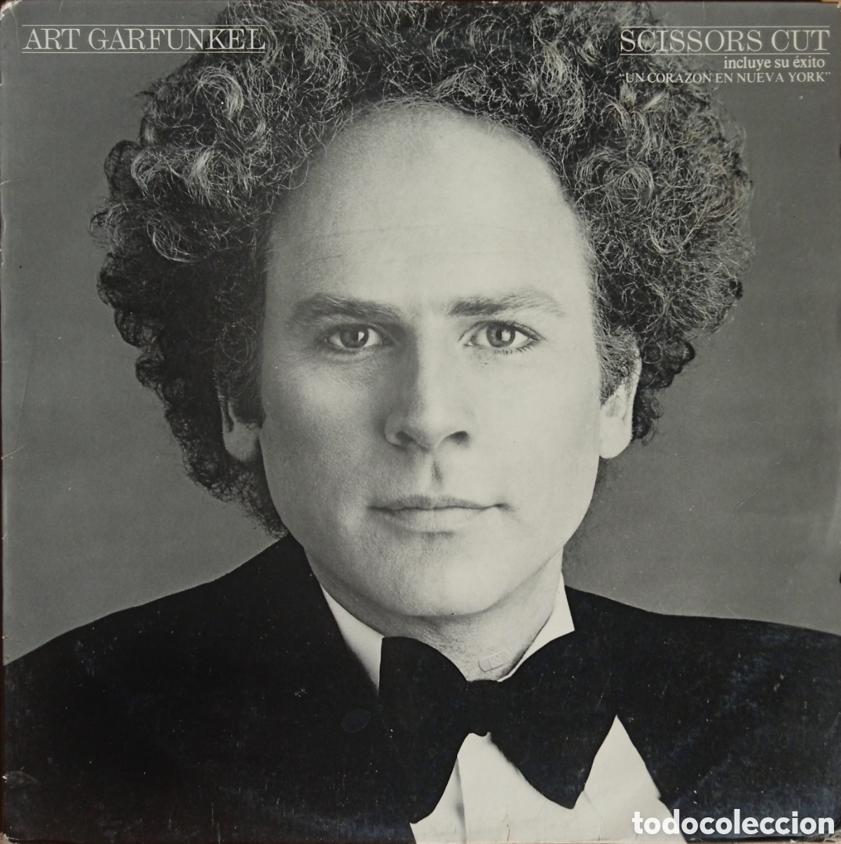 Discos de vinilo: Disco de vinilo Art Garfunkel - Foto 1