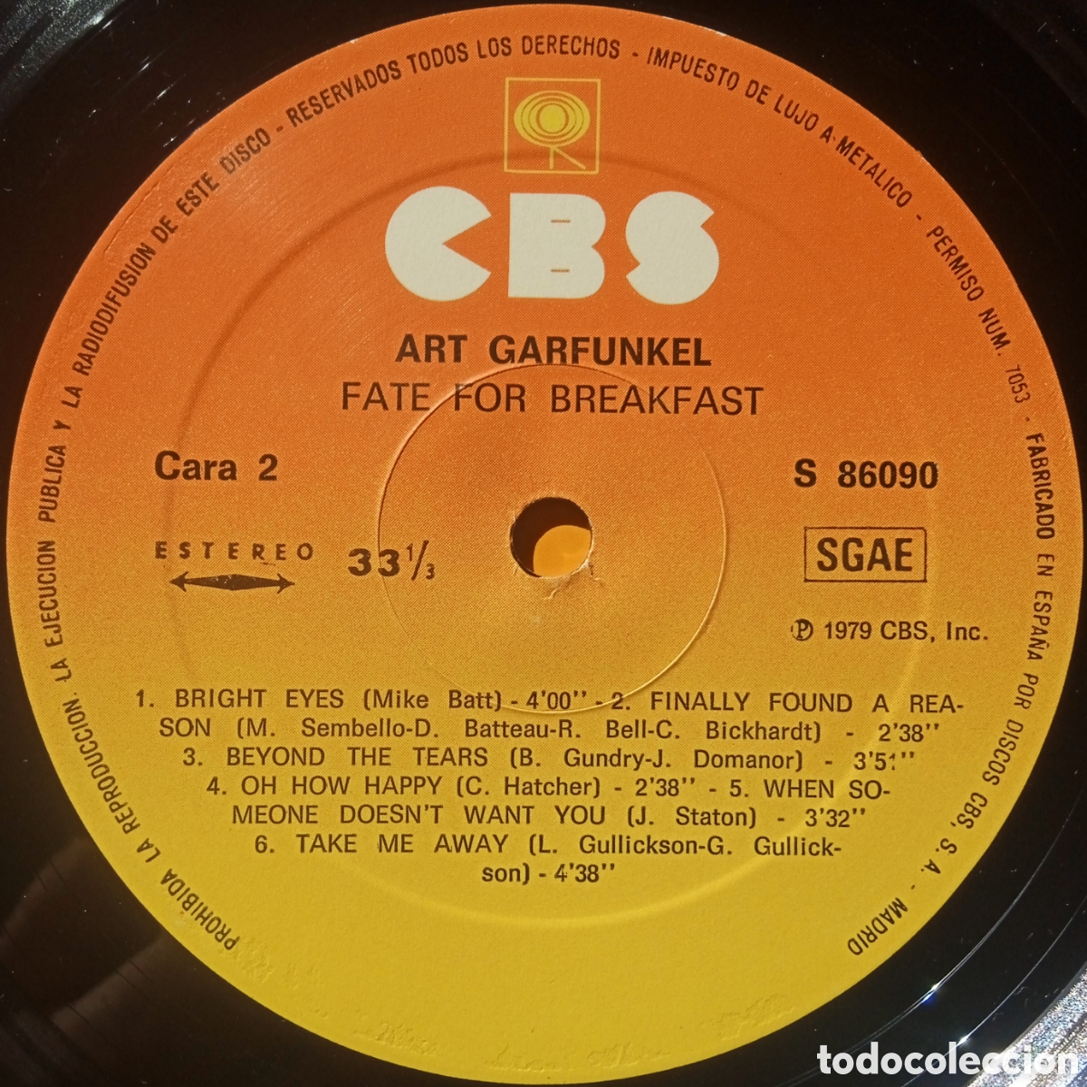 Discos de vinilo: Disco de vinilo Art Garfunkel - Foto 6