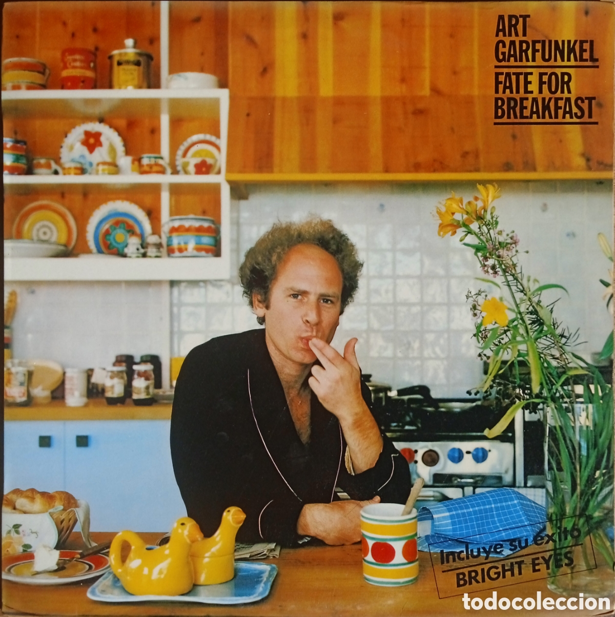 Discos de vinilo: Disco de vinilo Art Garfunkel - Foto 1