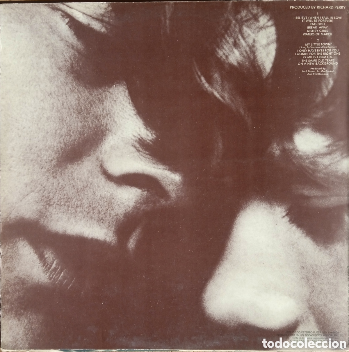 Discos de vinilo: Disco de vinilo Art Garfunkel - Foto 2