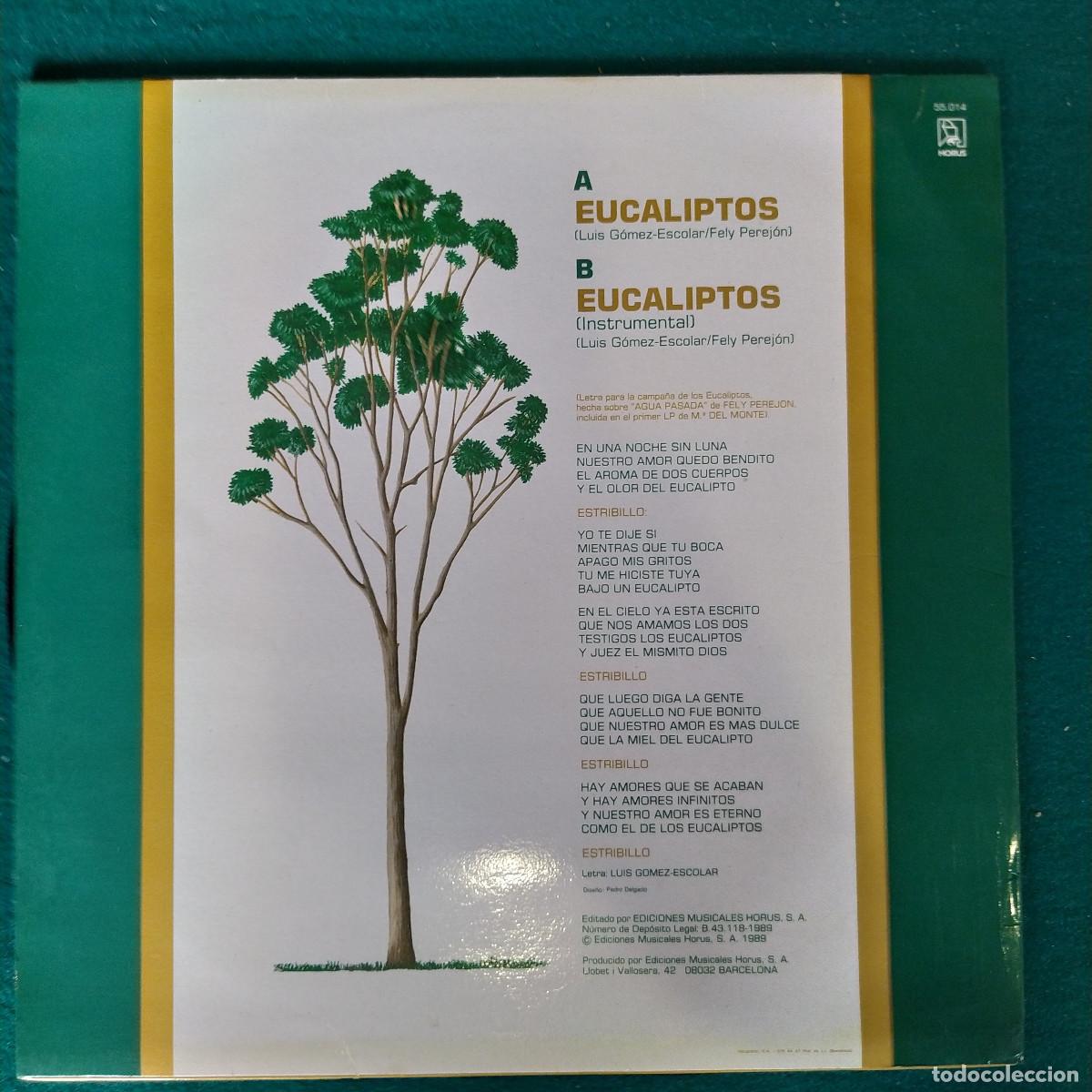 Discos de vinilo: Mar&iacute;a Del Monte &ndash; Eucaliptos - Foto 2