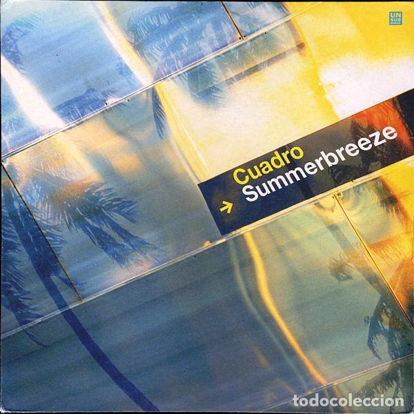 Discos de vinilo: Summerbreeze (12&rdquo; Maxi) - Cuadro - Foto 1