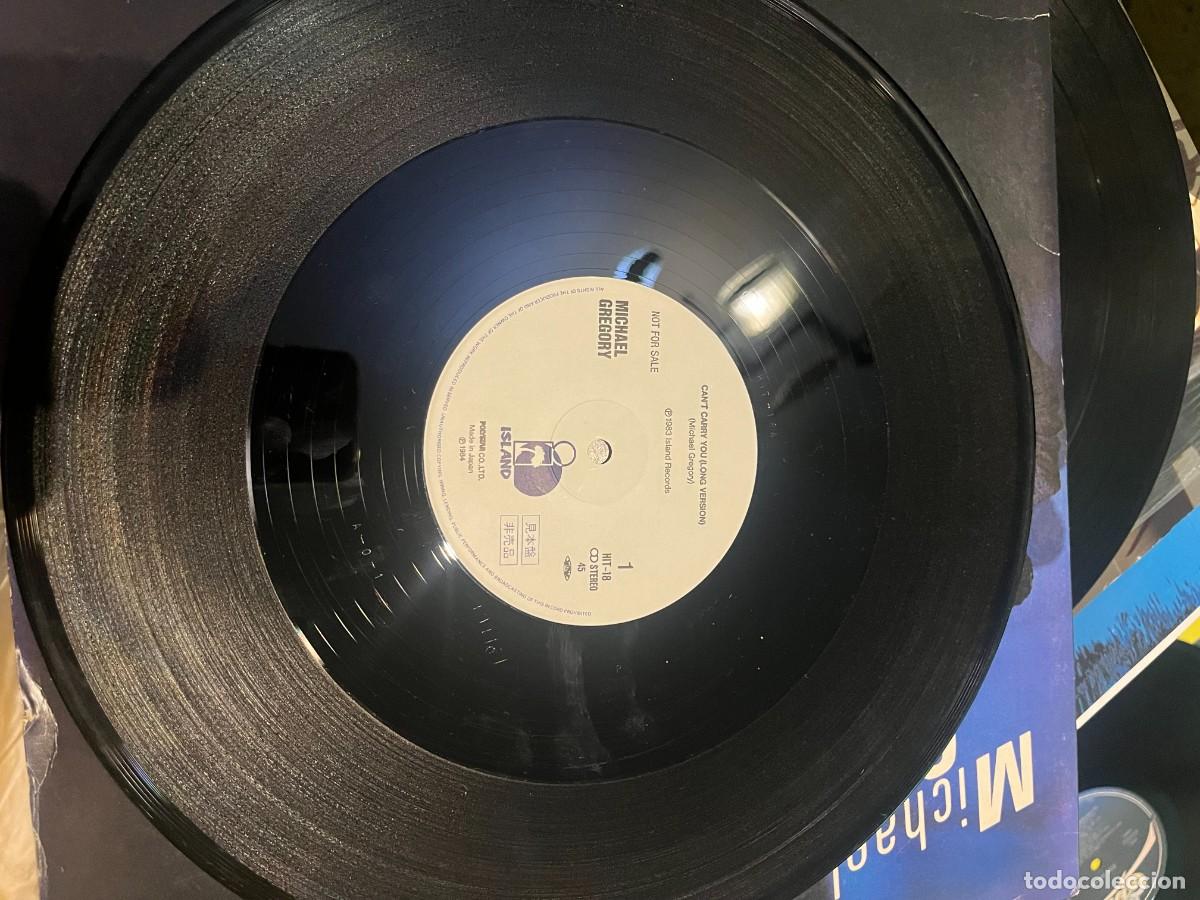 Discos de vinilo: Michael Gregory Cant Carry You, Give & Take - Foto 2