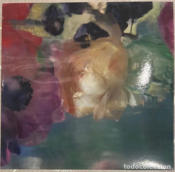 Discos de vinilo: Efterklang LP Vinilo * Windflowers * Precintado! - Foto 4