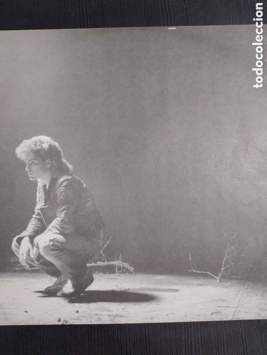 Discos de vinilo: Richard Marx LP made in Spain - Foto 5