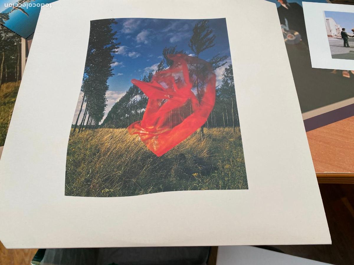 Discos de vinilo: PINK FLOYD (WISH YOU WERE HERE) LP CON POSTER, POSTAL Y PASS CODE (B-52) - Foto 4