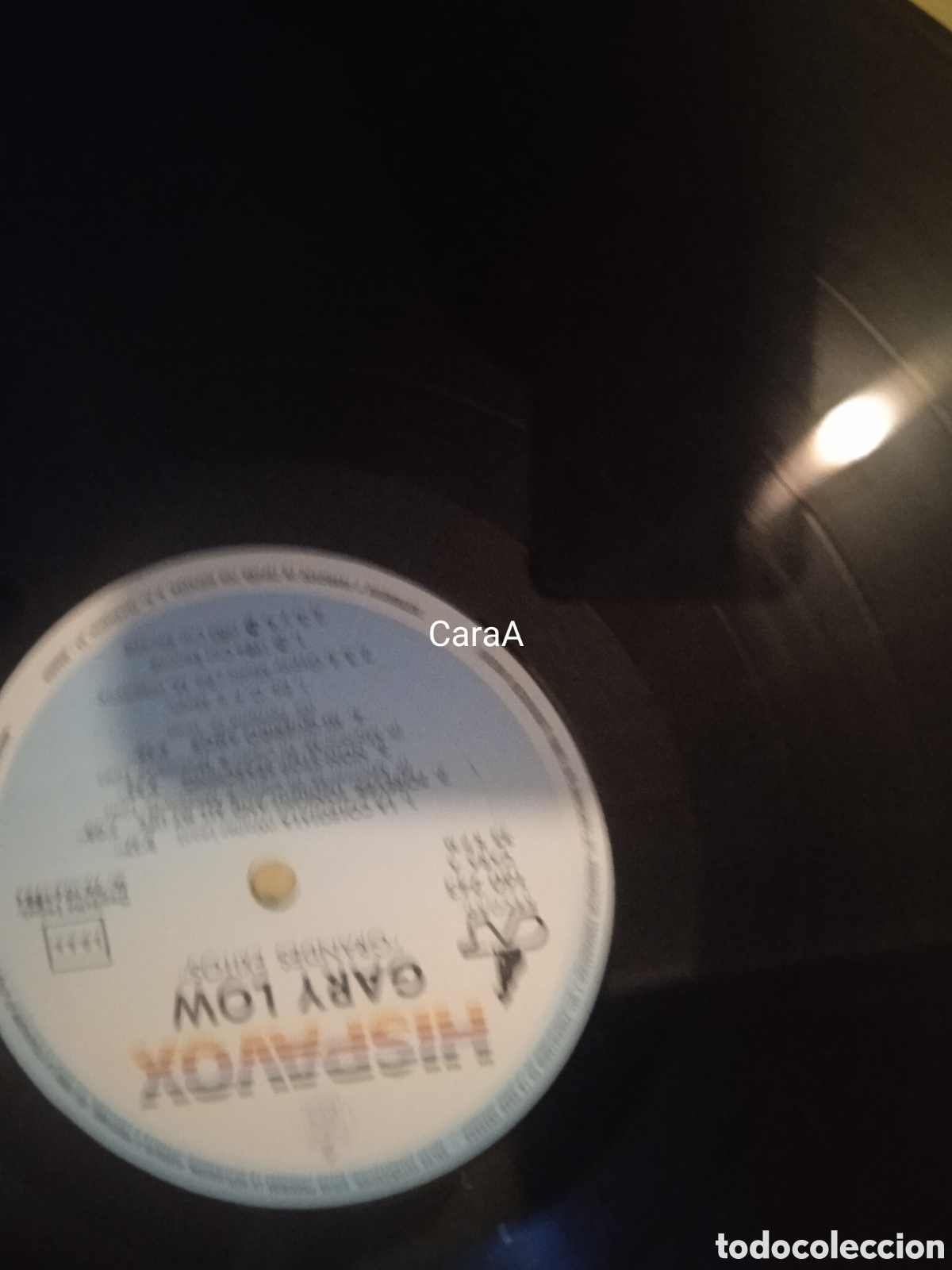Discos de vinilo: Garylow G vinilo grandes - Foto 3