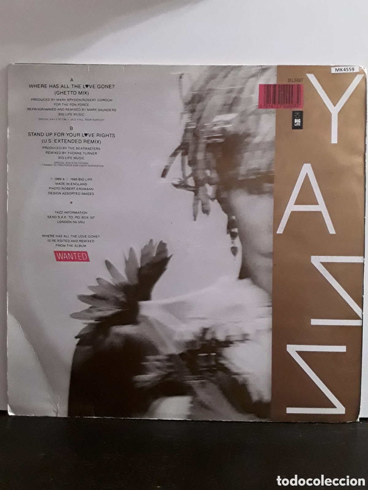 Discos de vinilo: Yazz &lrm;&ndash; Where Has All The Love Gone? - Foto 2