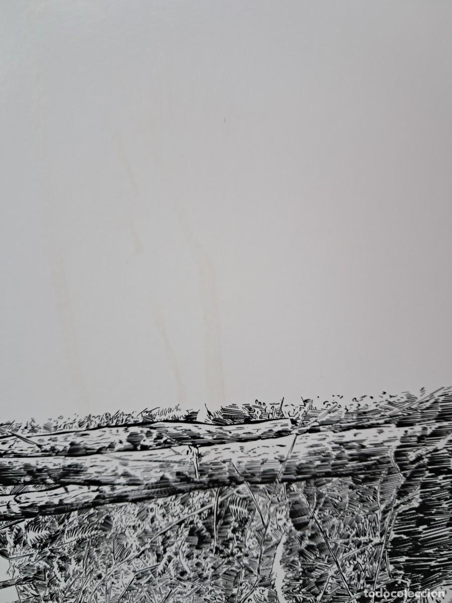 Discos de vinilo: PILATH - DULUTH LP 2022 INDIE ROCK - Foto 3