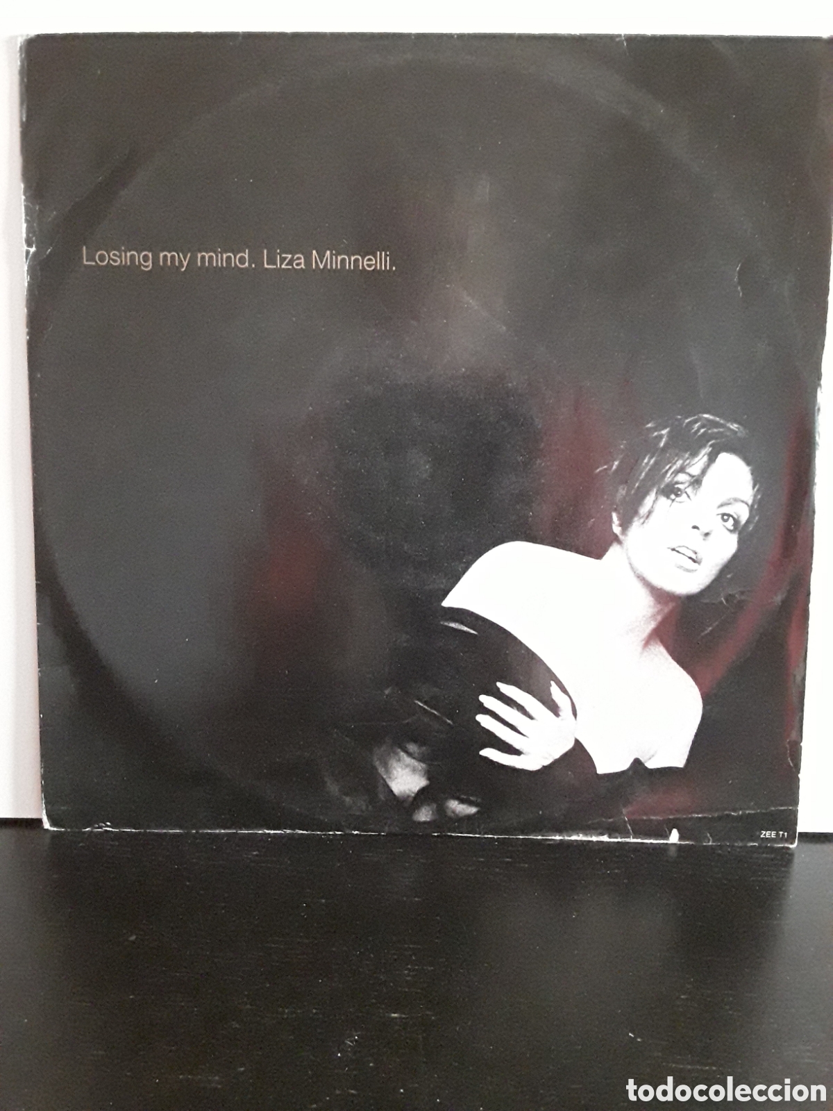 Discos de vinilo: Liza Minnelli &lrm;&ndash; Losing My Mind - Foto 1