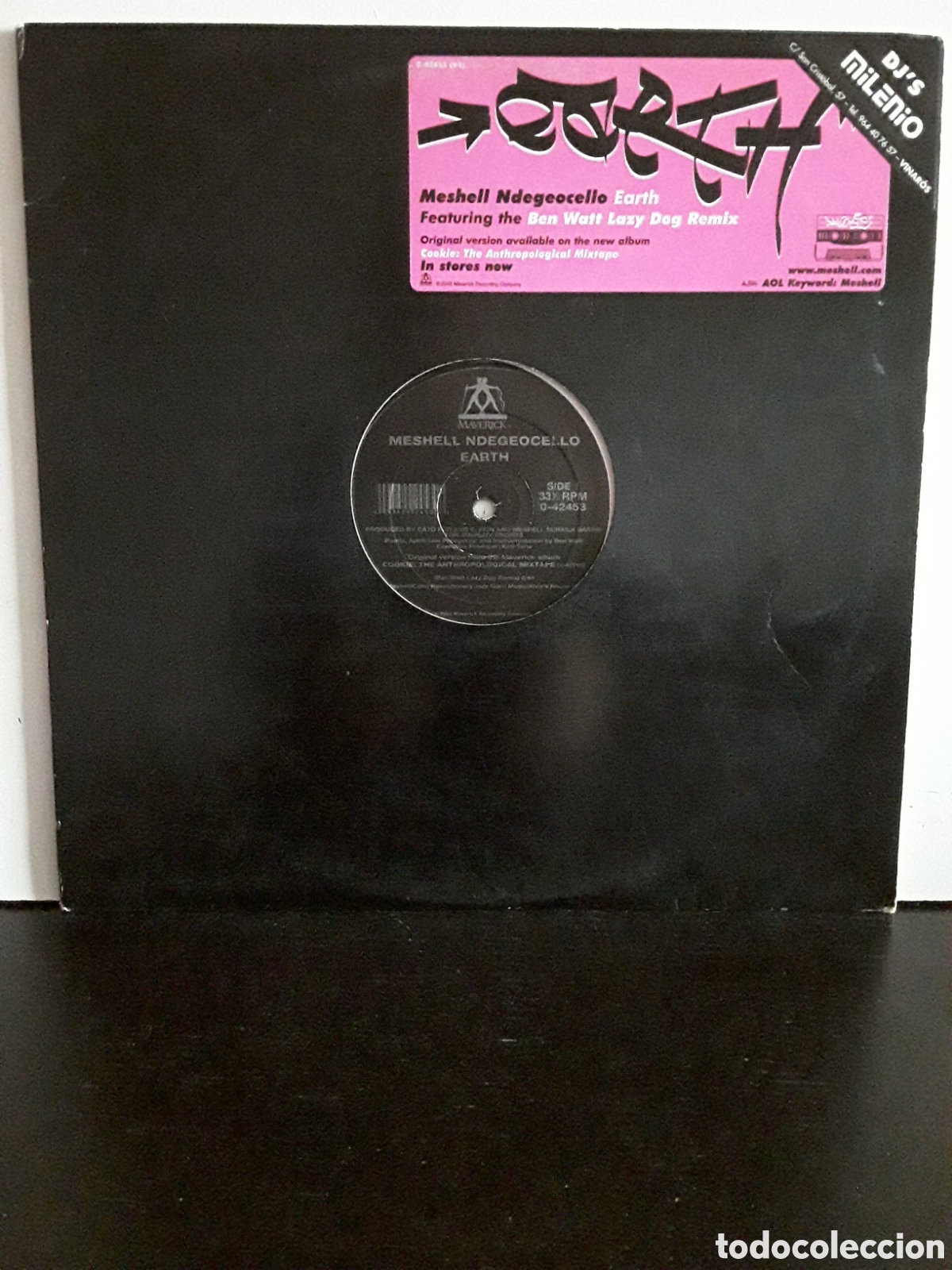 Discos de vinilo: Meshell Ndegeocello &lrm;&ndash; Earth - Foto 1