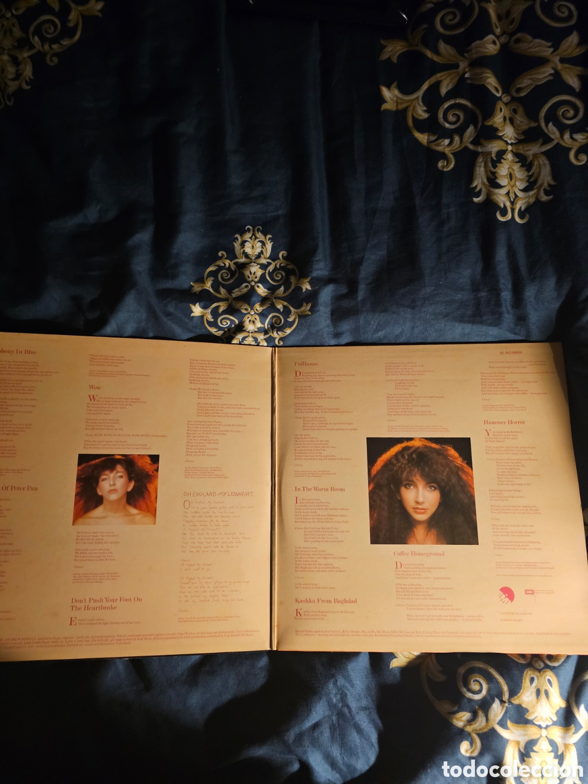 Discos de vinilo: KATE BUSH Lionheart. LP 1978 - Foto 2