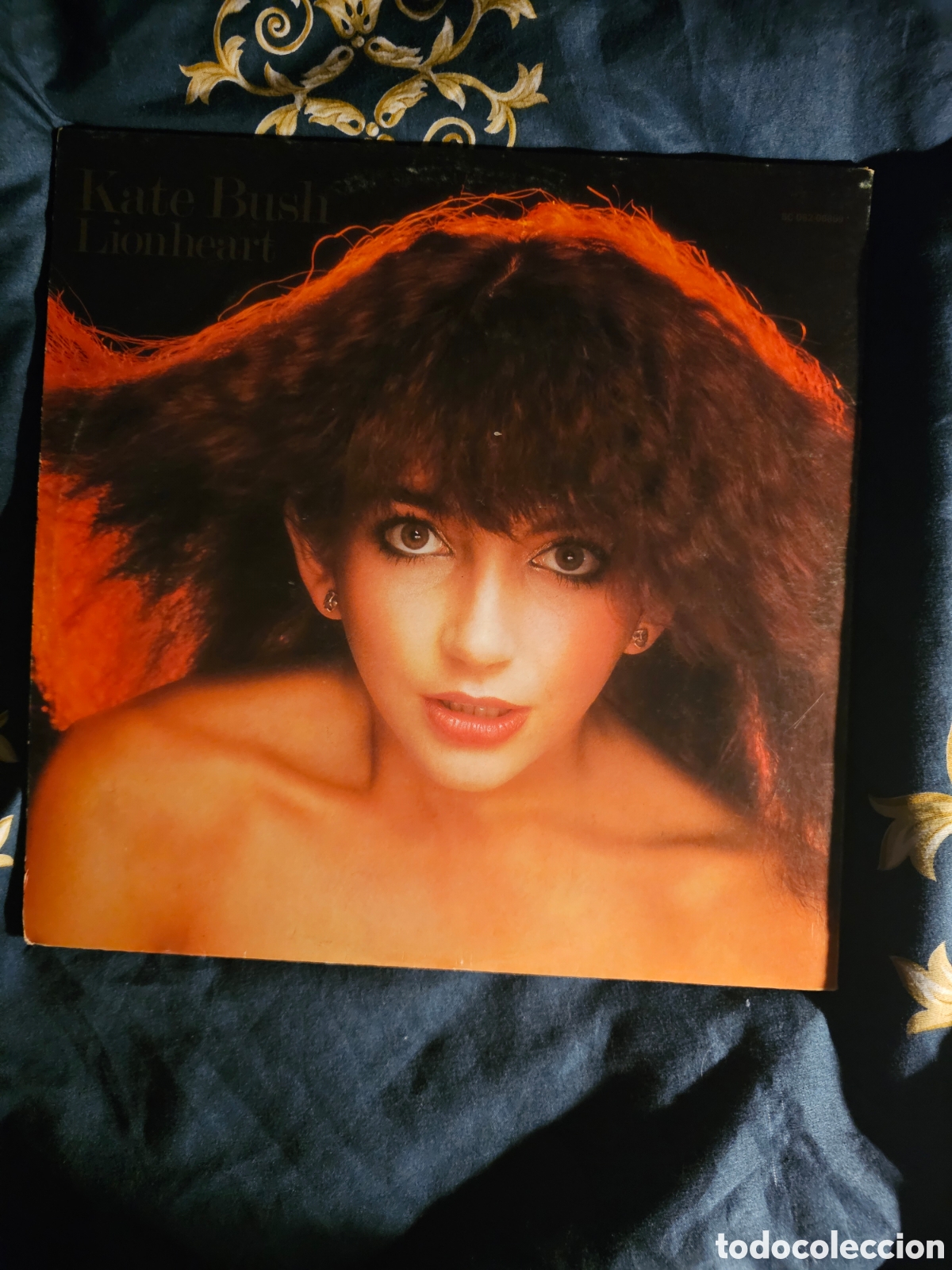 Discos de vinilo: KATE BUSH Lionheart. LP 1978 - Foto 3