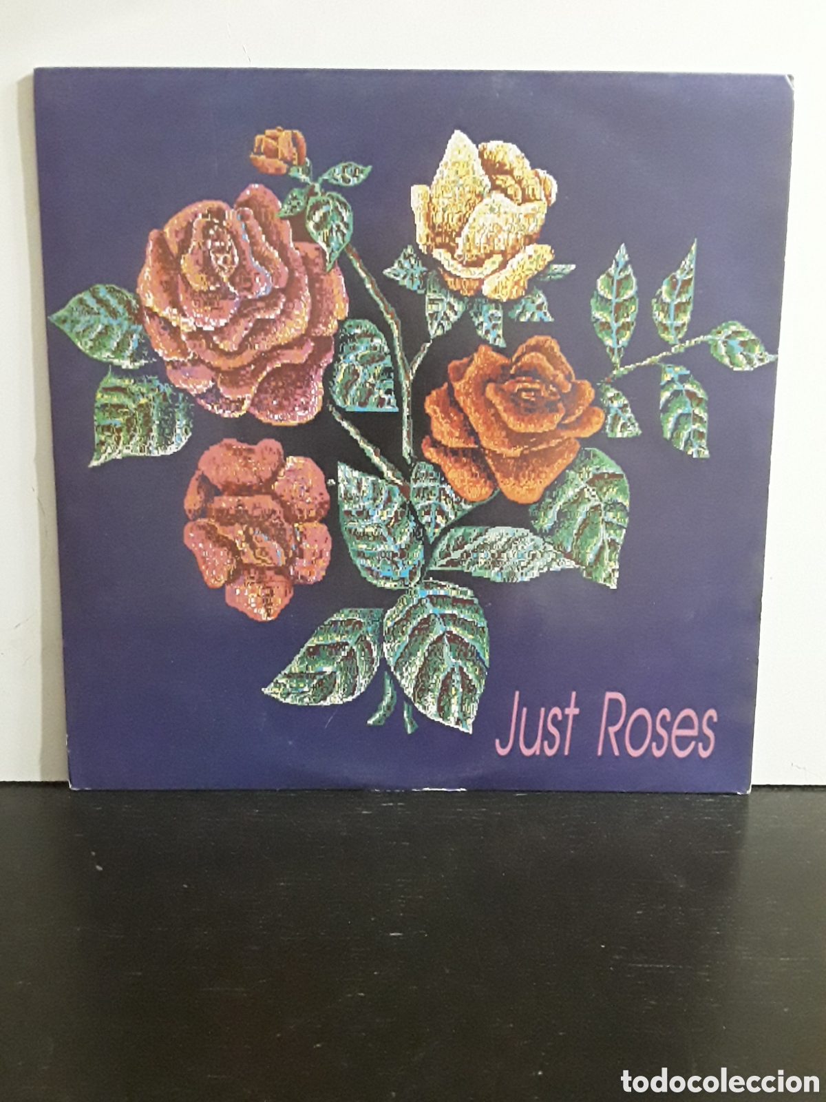 Discos de vinilo: Just Roses &lrm;&ndash; Dont Cry - Foto 1