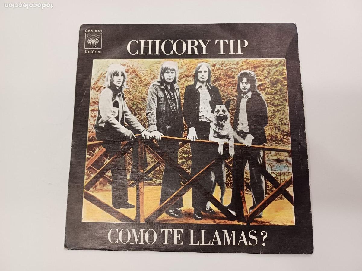 Discos de vinilo: CHICORY TIP/COMO TE LLAMAS/SINGLE. - Foto 1